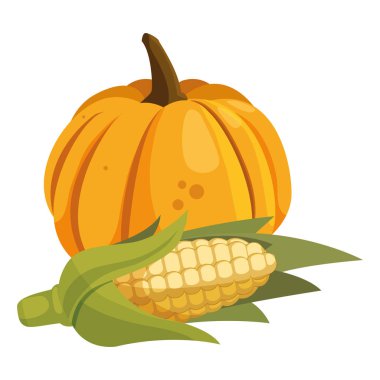 kabak simge görüntüsü