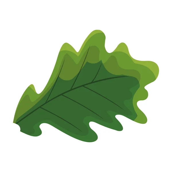 Imagen icono de hoja — Vector de stock