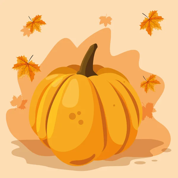 Diseño vegetal de calabaza — Vector de stock