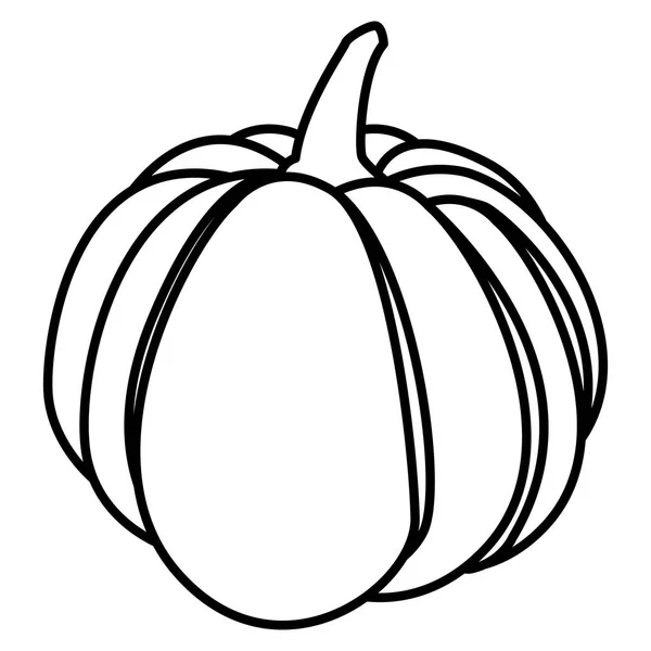 Diseño vegetal de calabaza — Archivo Imágenes Vectoriales