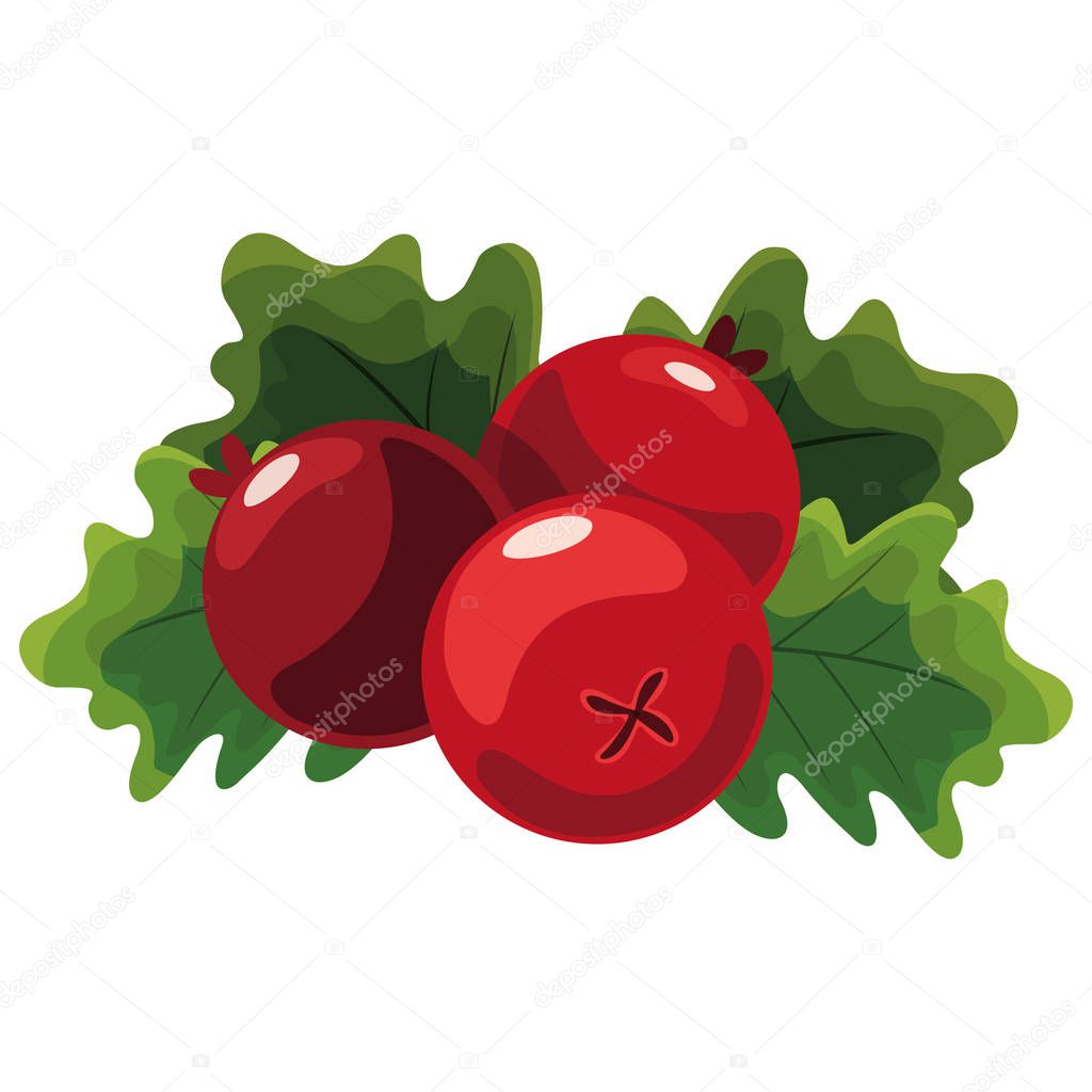 cranberries icon design