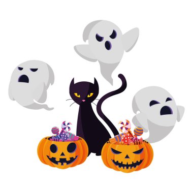 kabak karakter ile Halloween siyah kedi