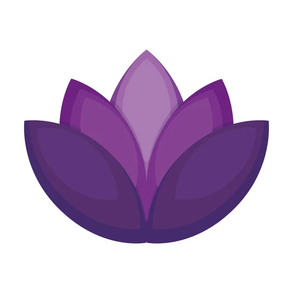 Lotus flower design — Stock Vector