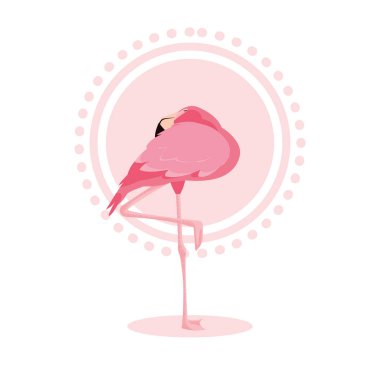 güzel flamingo kuşu standı