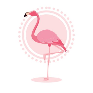 güzel flamingo kuşu standı