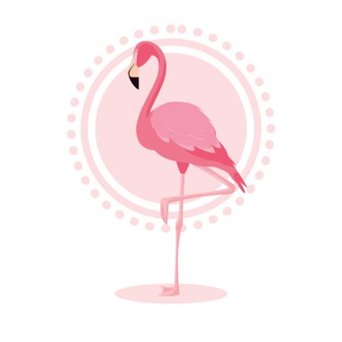 güzel flamingo kuşu standı