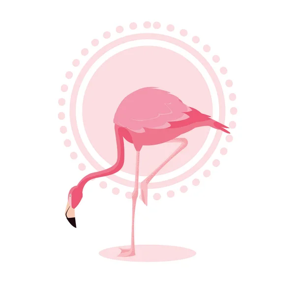 Vackra flamingo bird stand — Stock vektor