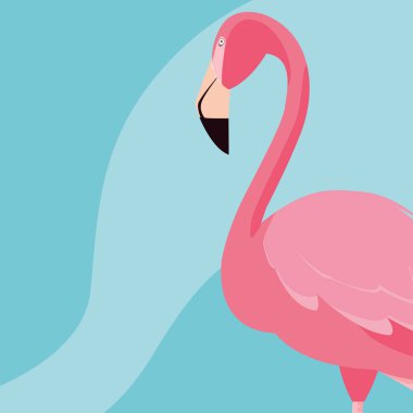 güzel flamingo kuşu standı