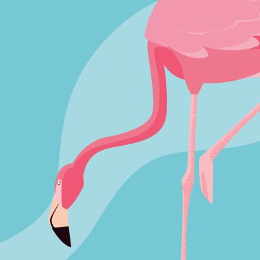 güzel flamingo kuşu standı