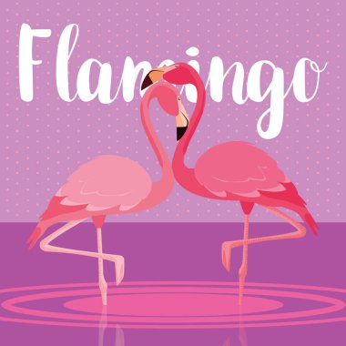 beautiful flamingos birds couple in the landscape clipart