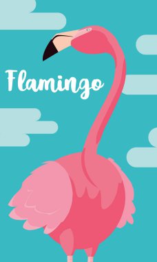 güzel flamingo kuşu stand peyzaj