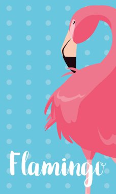 güzel flamingo kuşu standı