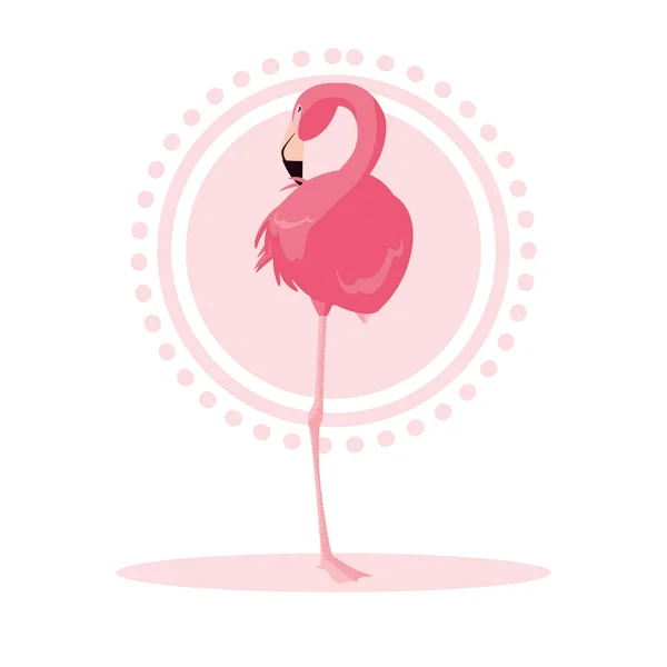 Vackra flamingo bird stand — Stock vektor