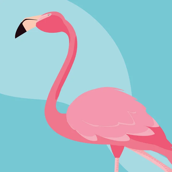 Schöner Flamingo-Vogelstand — Stockvektor