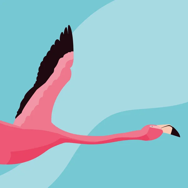 Prachtige flamingo vogel met het vliegen — Stockvector