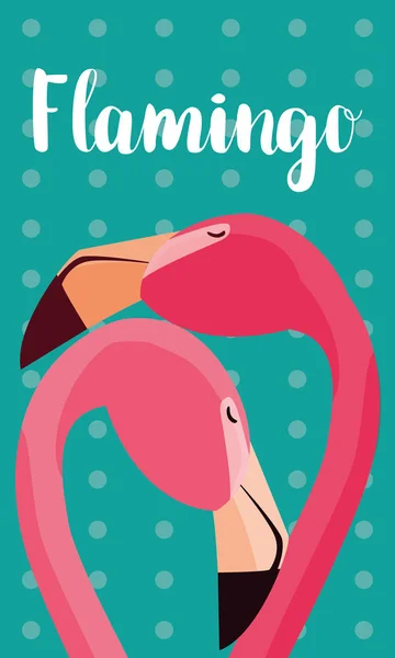 Schöne Flamingos Vögel paaren Köpfe — Stockvektor