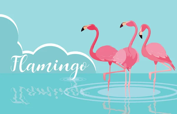 Beaux oiseaux de flamants roses affluent dans le paysage — Image vectorielle