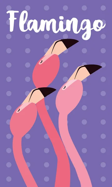 Schöne Flamingos Vögel schwärmen Köpfe — Stockvektor