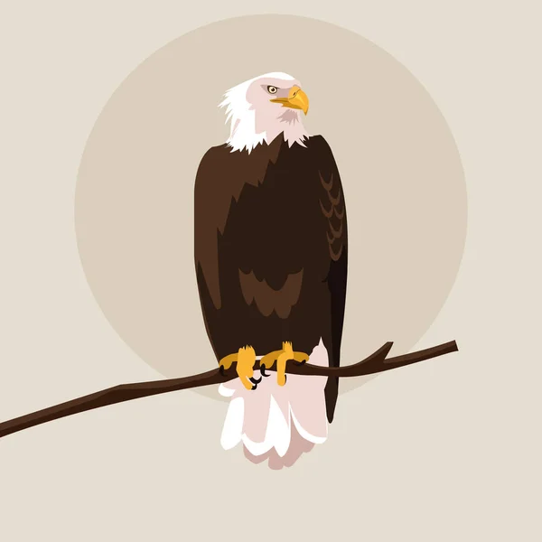 Oiseau Pygargue Tête Blanche Dans Branche Dessin Vectoriel Illustration — Image vectorielle