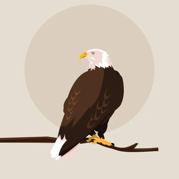 Bald eagle bird in the branch — Stock Vector