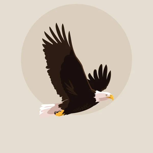 Águila calva volando — Vector de stock