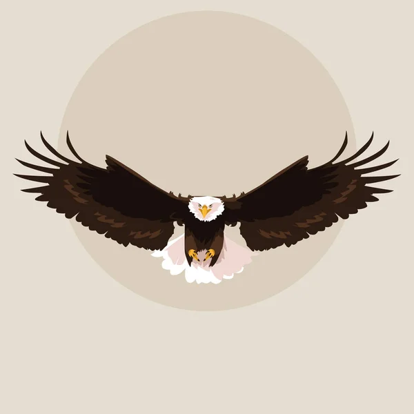 Bald eagle vogel met het vliegen — Stockvector