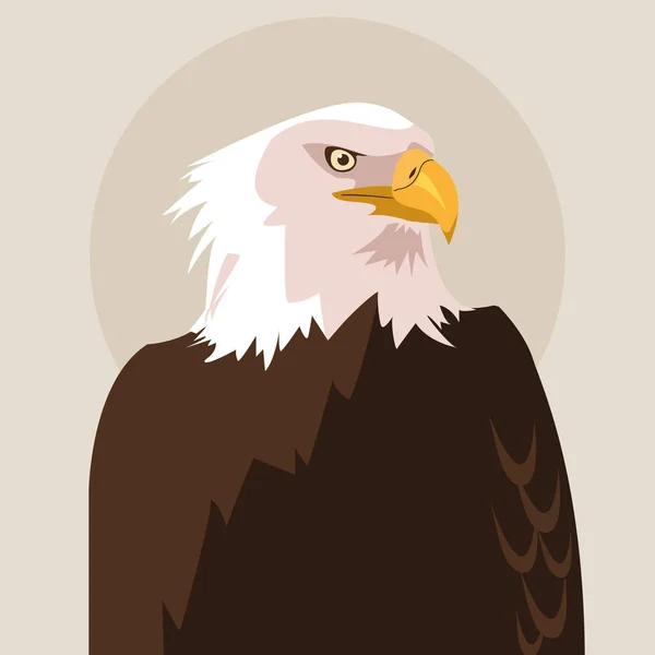 Bald eagle vogel pictogram — Stockvector