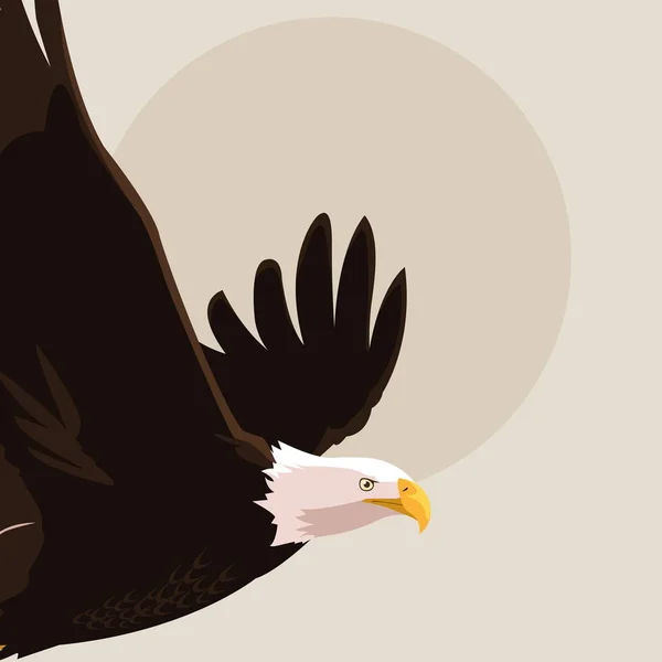Bald eagle vogel met het vliegen — Stockvector