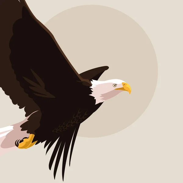 Bald eagle fågel flygande — Stock vektor
