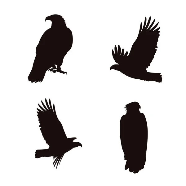 Örnar fåglar siluetter ställa poser — Stock vektor