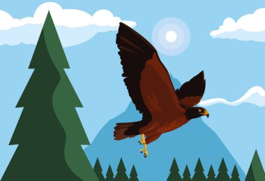 manzara biçiminde uçan heybetli şahin kuş