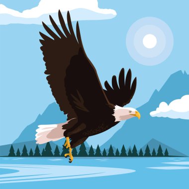 manzara ile uçan kel kartal kuş