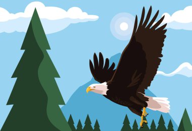 manzara ile uçan kel kartal kuş