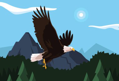 manzara ile uçan kel kartal kuş