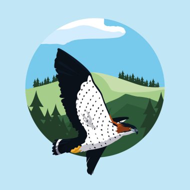 manzara biçiminde uçan heybetli şahin kuş