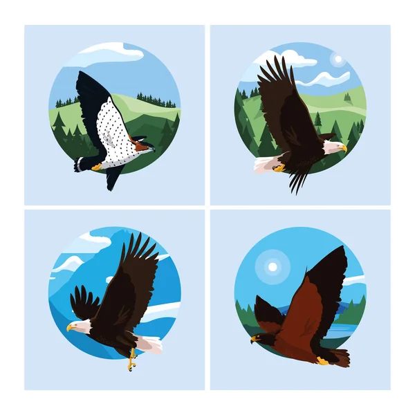 Falcões e águias aves na paisagem — Vetor de Stock