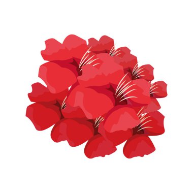 Buket çiçek beyaz arka plan üzerinde