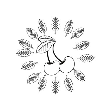 kiraz taze yaprakları etiket etiket