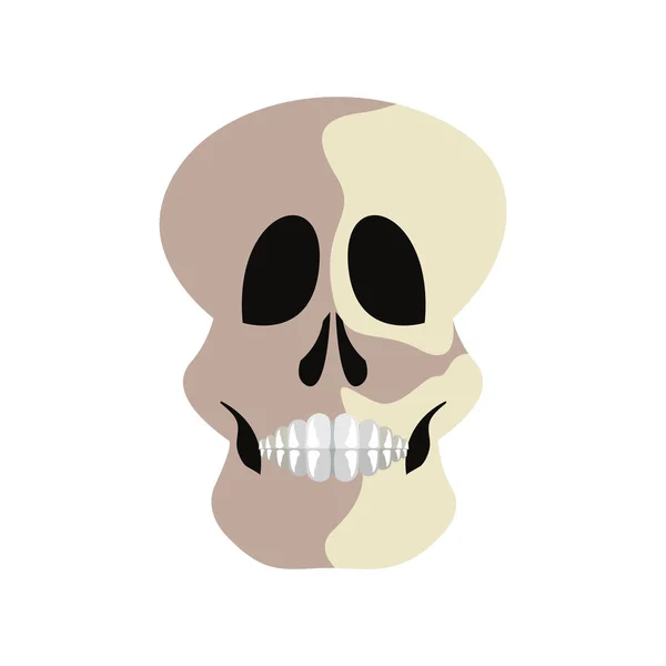 Skull human on white background — Stock Vector