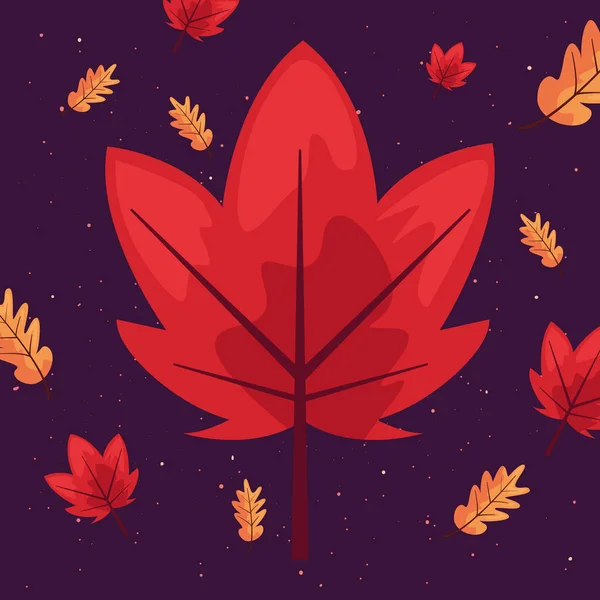 Feuilles d'érable décoration d'automne — Image vectorielle