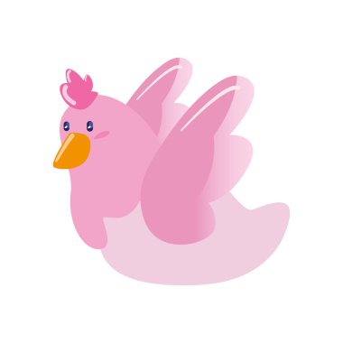 sevimli pembe güvercin