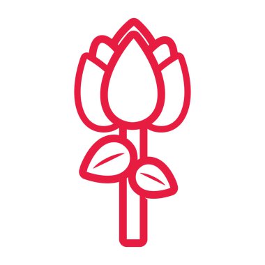 kırmızı lale çiçek