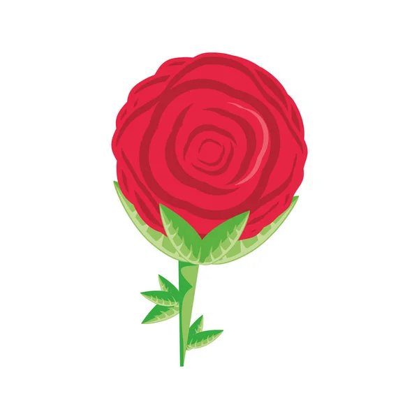 Flor rosa icono aislado — Archivo Imágenes Vectoriales