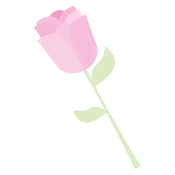 Belle Fleur Rose Icône Décorative Vecteur Illustration Design — Image vectorielle