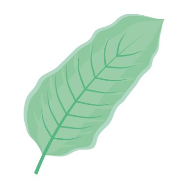 ekoloji yaprak bitki simgesi