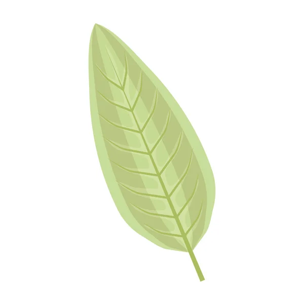 Écologie feuille plante icône — Image vectorielle