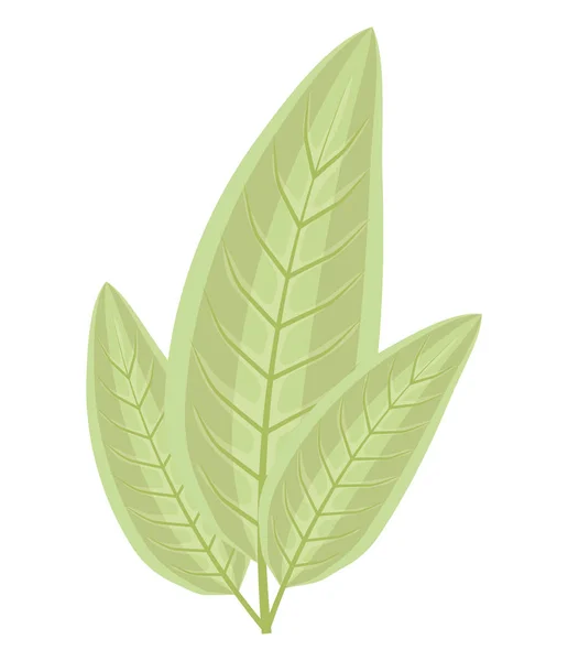 Ecología planta hoja icono — Vector de stock
