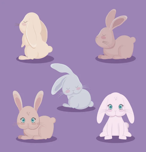 一群可爱的兔子动物 — 图库矢量图片