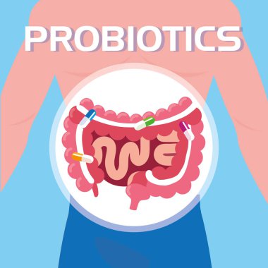 sindirim sistemi ve kapsül ilaç gövdesi