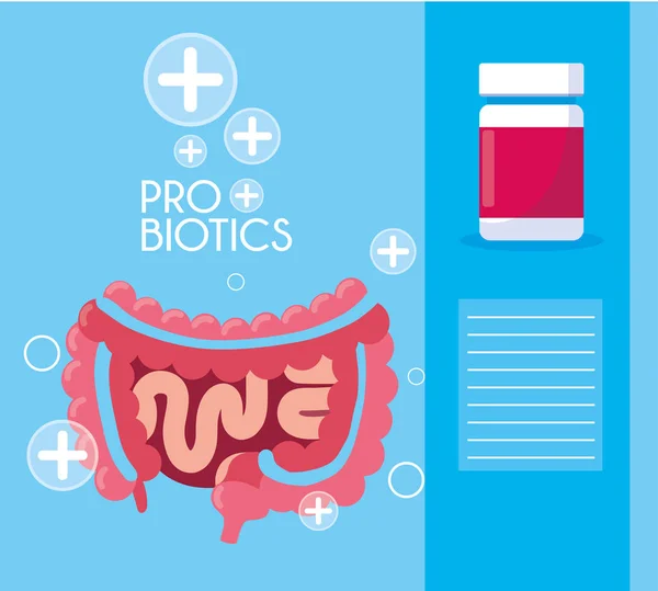 Sistema digestivo con medicamentos probióticos — Archivo Imágenes Vectoriales